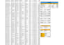 do excel data entry, dashboard, pivot table, and mis reports